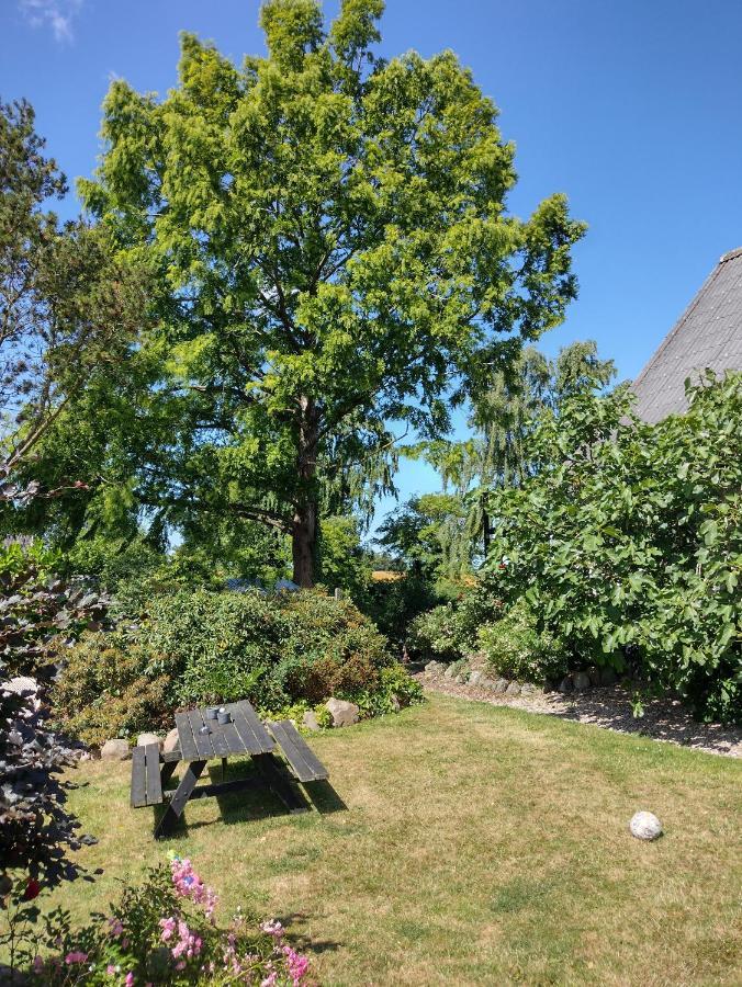Den Gamle Apotekergaard Bed & Breakfast Hong Dış mekan fotoğraf