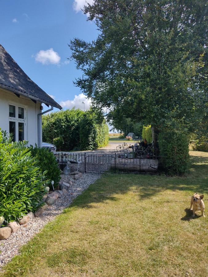 Den Gamle Apotekergaard Bed & Breakfast Hong Dış mekan fotoğraf
