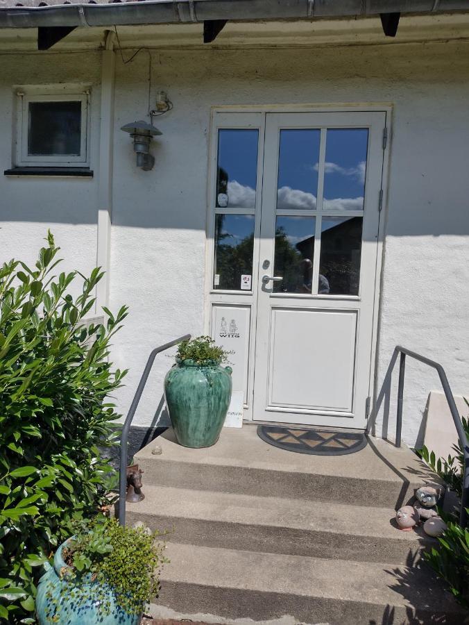 Den Gamle Apotekergaard Bed & Breakfast Hong Dış mekan fotoğraf